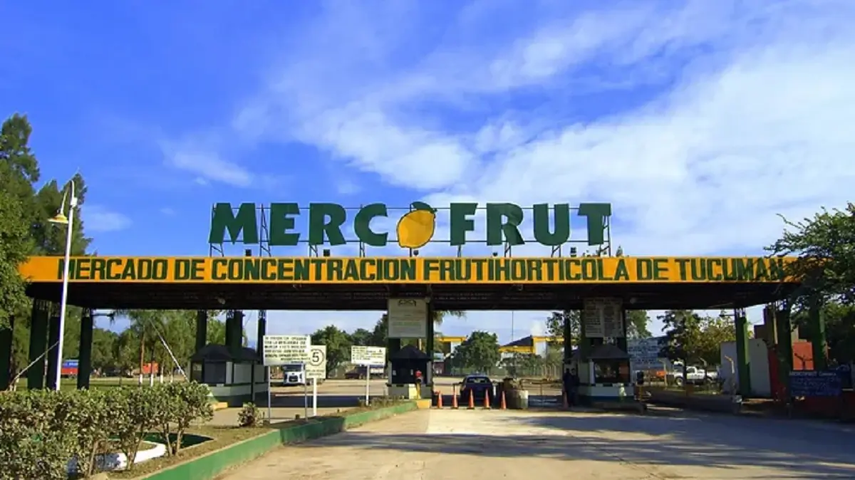 Mercofrut