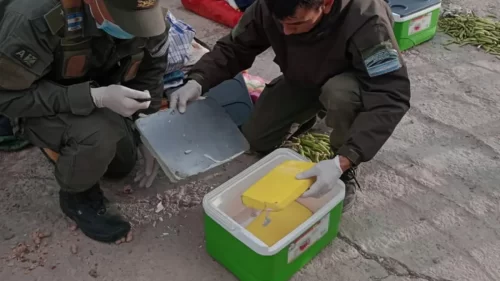 Cocaína