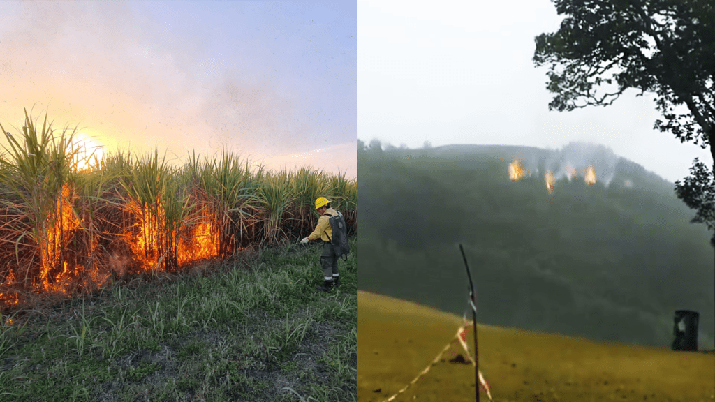 Incendios forestales