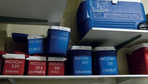 INCUCAI