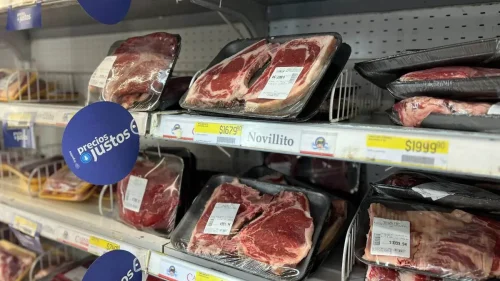 Carne