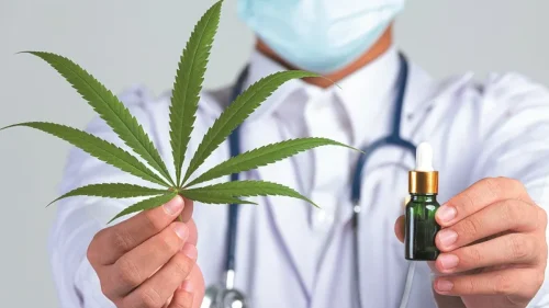 Cannabis medicinal