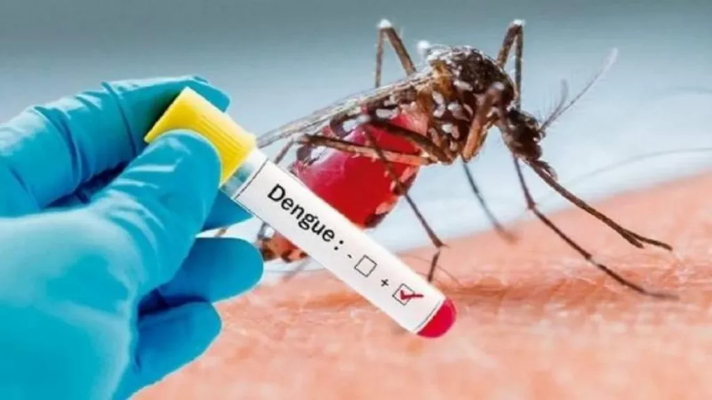 Dengue