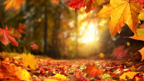 Otoño