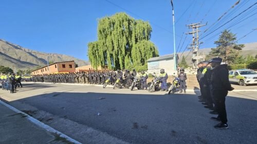 Operativos contra usurpaciones