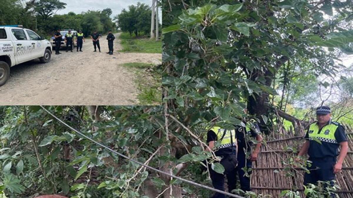 mutiló a una yegua