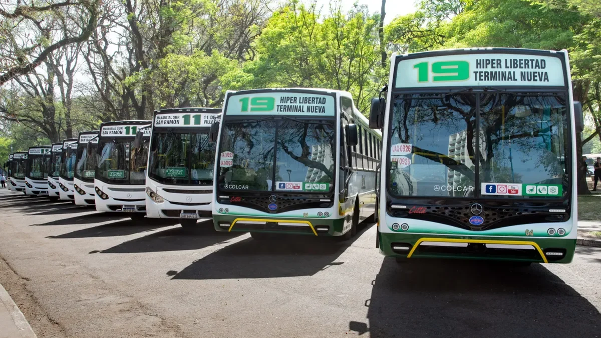 Colectivos