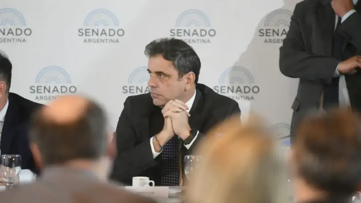 Lisandro Catalán en el Senado