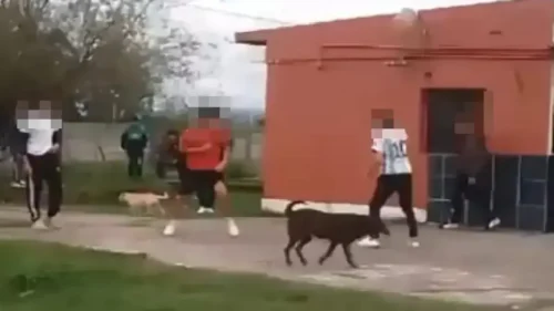 Pelea entre estudiantes