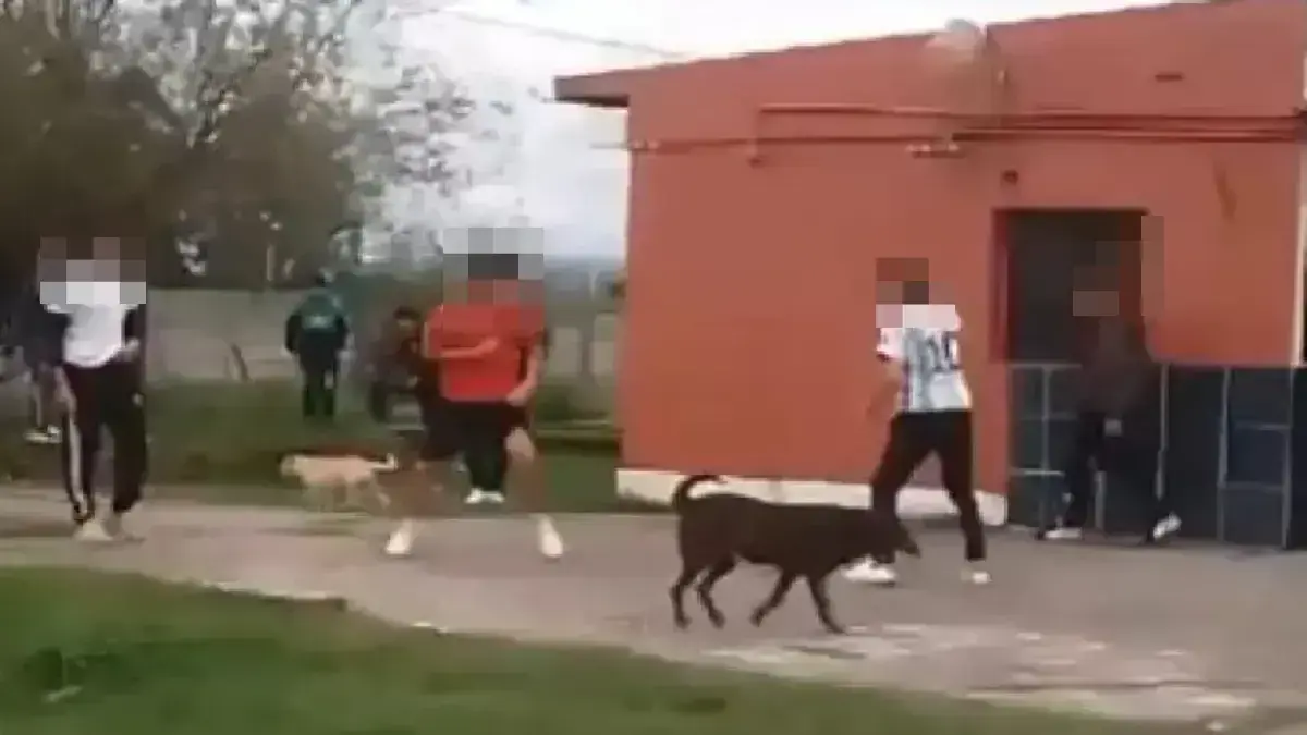 Pelea entre estudiantes