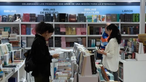Ficción reparadora