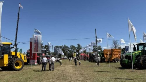 Expo Apronor