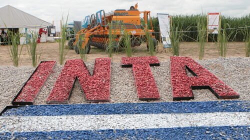 INTA