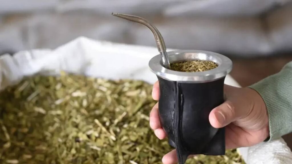 Yerba mate