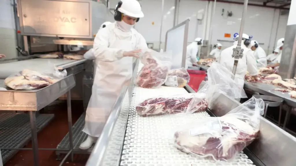 Carne