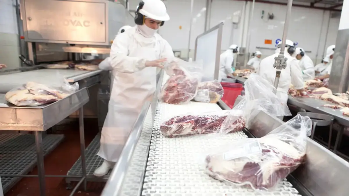 Carne