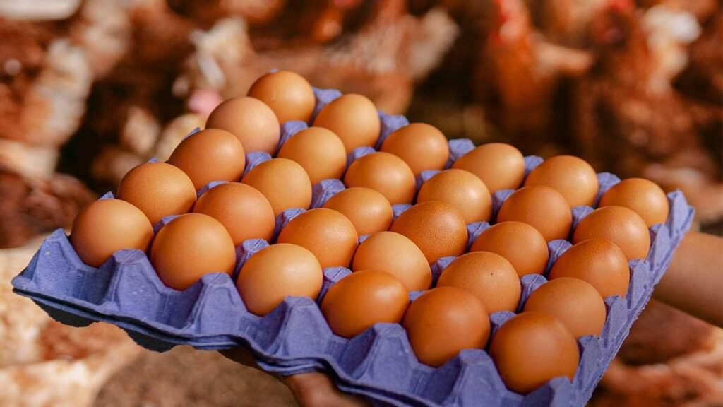 Huevos