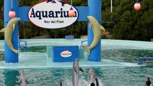 Aquarium