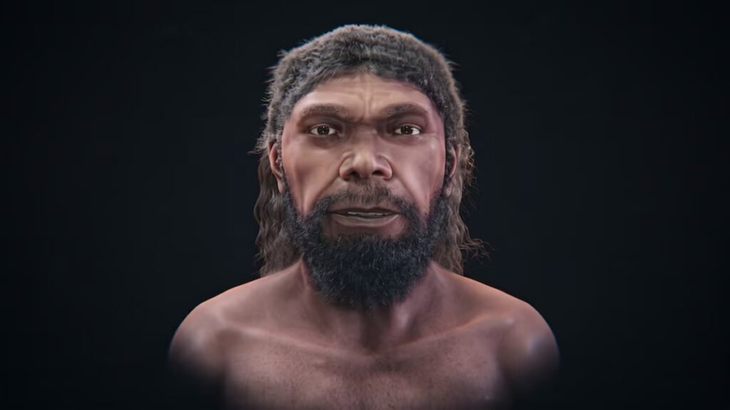 Homo sapiens
